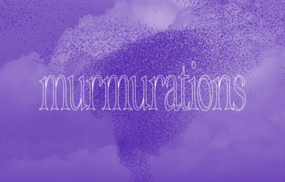 Murmurations Murmurations